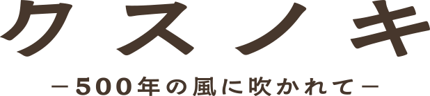 クスノキ-500年の風に吹かれて-