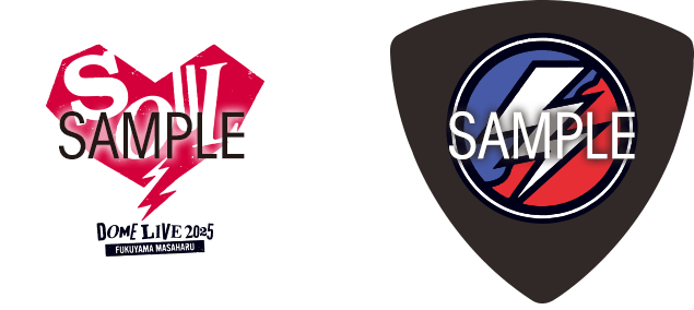 「SOUL」「雷」ギターピック