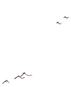 虹