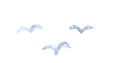 カモメ